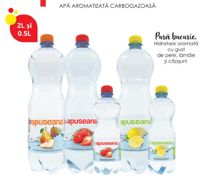 Apuseana 2019
