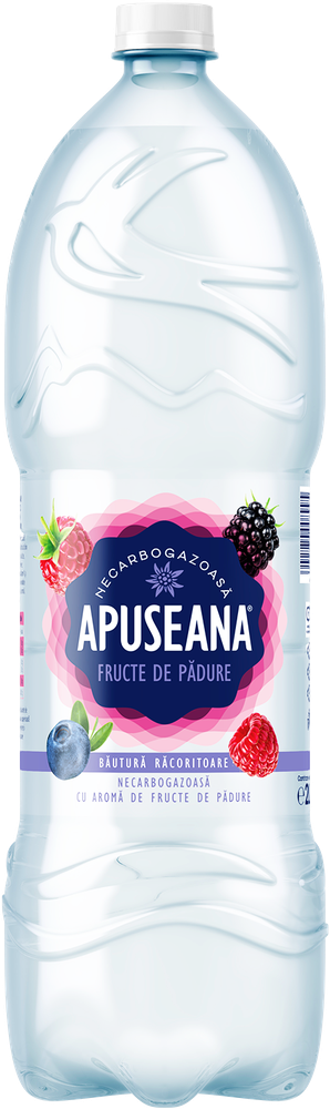 Apă aromatizată plată cu gust de fructe de pădure 2L